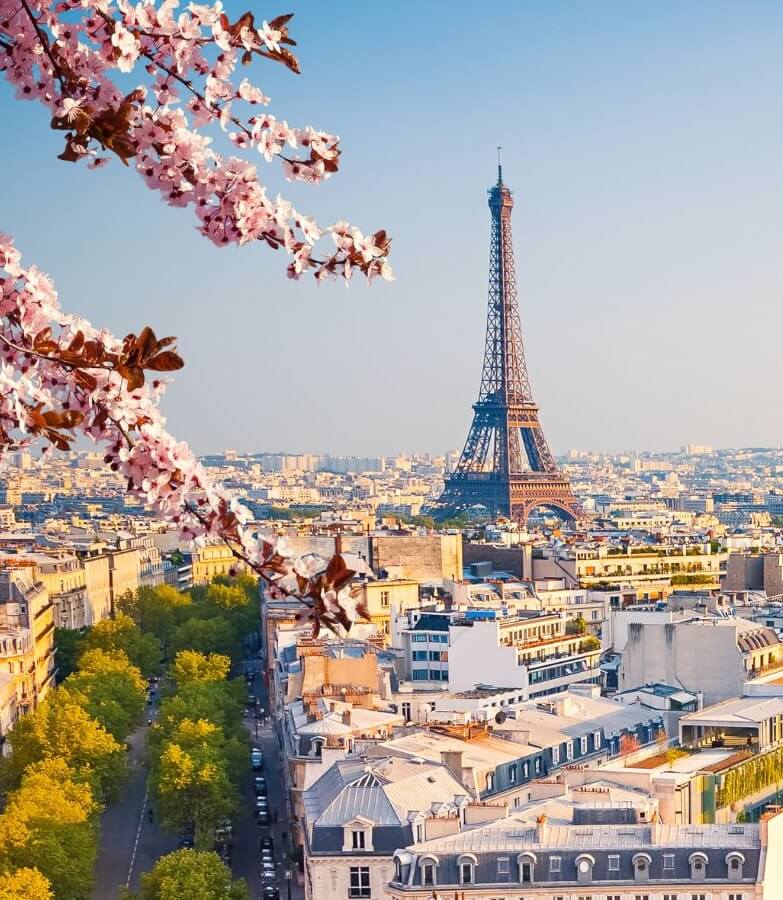 Vegan Top City - Berlin