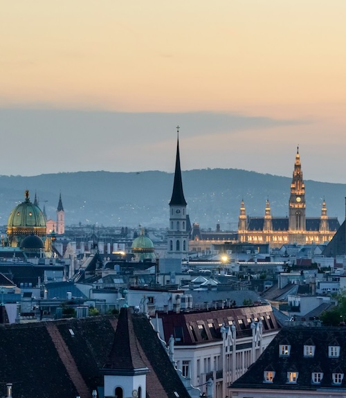 Vegan Top City - Vienna